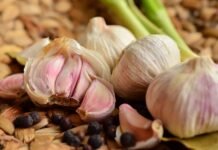 Como Plantar Alho e Colher Durante Todo o Ano plantar alho
