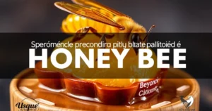 Conheça o Sabor Incrível do Coquetel Honey Bee da Beyoncé para Todas as Estações!